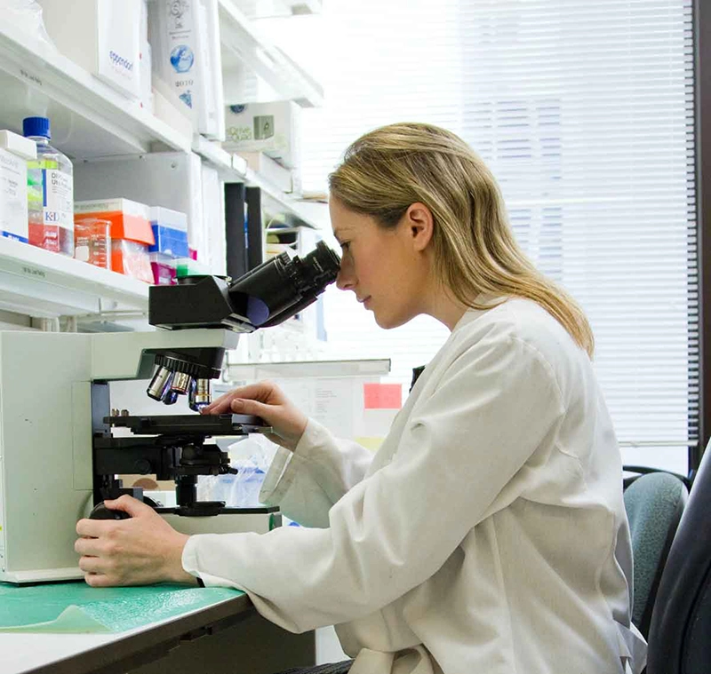 Our Current Research